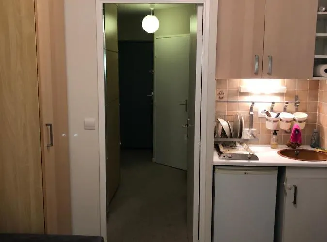 Aux Pieds Des Pistes Du Seignus Calme Et Allos